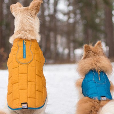 Gear Review: Active Accessories For Four-Legged Trekkers