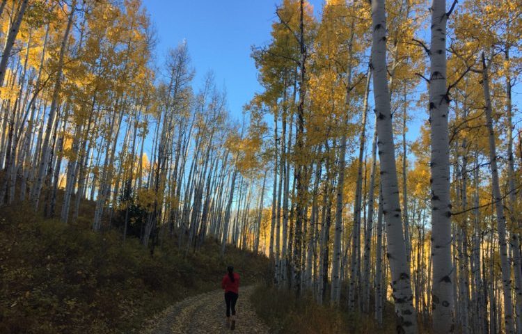 Colorado Autumn