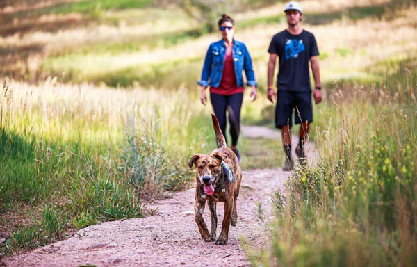 Odin, a brindle lab-mix, walks ahead of Michelle Luarita and Jason Funk, of Avon, recently on Meadow Mountain Trail