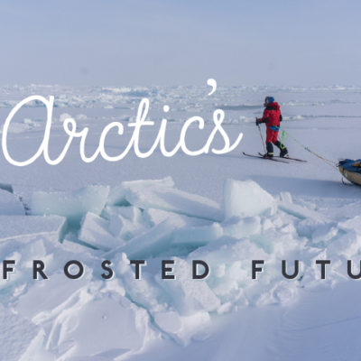 The Arctic’s Defrosted Future